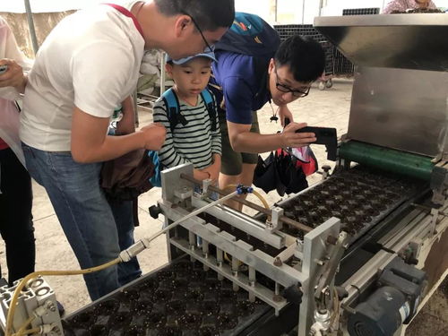 出发！秋季研学旅行全新线路出炉 沉浸式蔬菜种植体验课堂