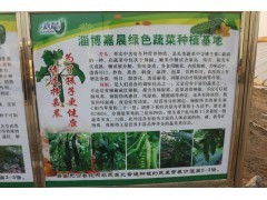 淄博蔬菜采摘园|家庭蔬菜采摘|蔬菜采摘哪里好|嘉晨蔬菜基地供应产品淄博嘉晨绿色蔬菜种植基地